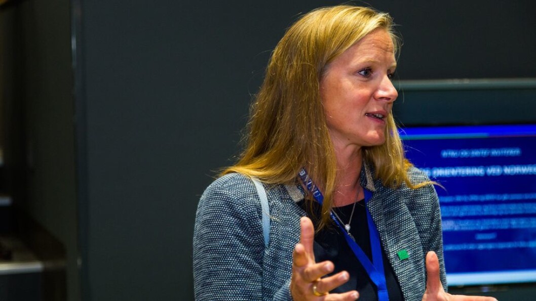 Tidligere NMBU-rektor og UHR-leder Mari Sundli Tveit tar over roret i Norges forskningsråd. Tidligere NMBU-rektor og UHR-leder Mari Sundli Tveit tar over roret i Norges forskningsråd.