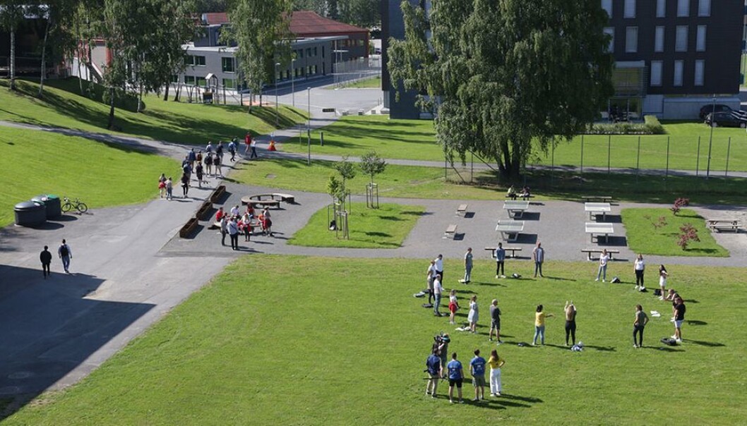 Studiestart ved NTNU i Gjøvik. I år vil det trolig også bli ukrainske flyktninger blant høstens nye studenter. Studiestart ved NTNU i Gjøvik. I år vil det trolig også bli ukrainske flyktninger blant høstens nye studenter.
