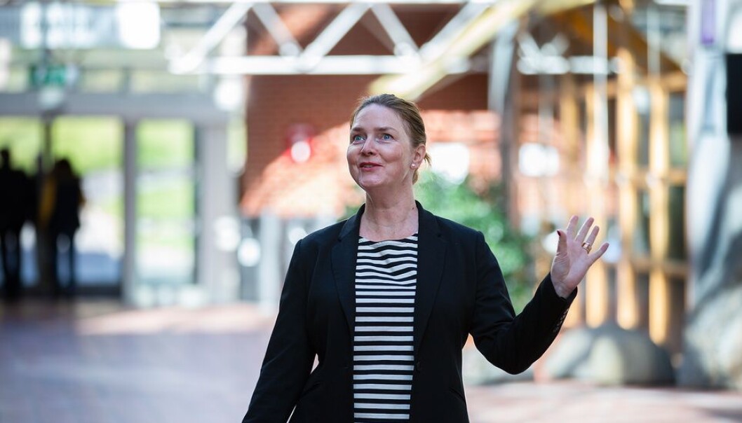 Heftige karakteristikker, dramatiske beskjeder og grundige vedtak. Nora Bilalovic Kulset beskriver en turbulent tid med et skrått blikk. Heftige karakteristikker, dramatiske beskjeder og grundige vedtak. Nora Bilalovic Kulset beskriver en turbulent tid med et skrått blikk.