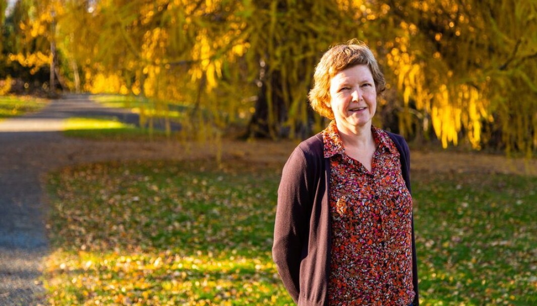 Det blir vaksinering framfor eksamen på Sluppen i høstsemesteret, forteller prorektor Marit Reitan. Det blir vaksinering framfor eksamen på Sluppen i høstsemesteret, forteller prorektor Marit Reitan.