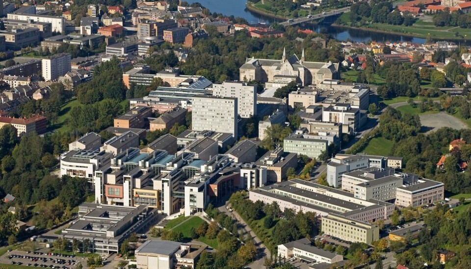 Rambøll og C.F. Møller lander en lukrativ avtale med Statsbygg i første fase av campussamlingen.
