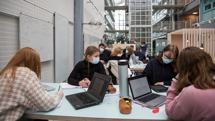 Konsentrert jobbing før eksamen, med munnbind på. Konsentrert jobbing før eksamen, med munnbind på.