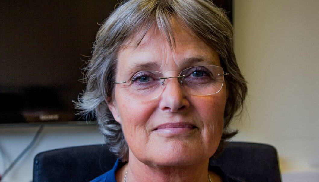 Våre samarbeidspartnere valgte ikke samme strategi som oss om beslutningsmyndighet på lavest mulig nivå, skriver Heidi Vifladt. Våre samarbeidspartnere valgte ikke samme strategi som oss om beslutningsmyndighet på lavest mulig nivå, skriver Heidi Vifladt.