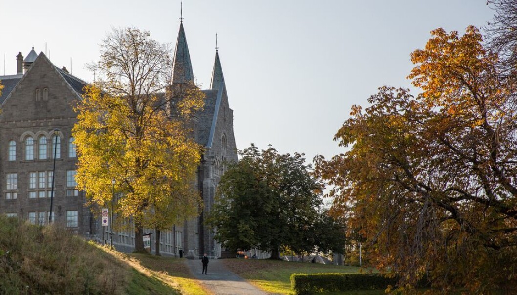 NTNU må gjøre endringer i lønnssystemet før de ansatte kan få ny lønn. NTNU må gjøre endringer i lønnssystemet før de ansatte kan få ny lønn.