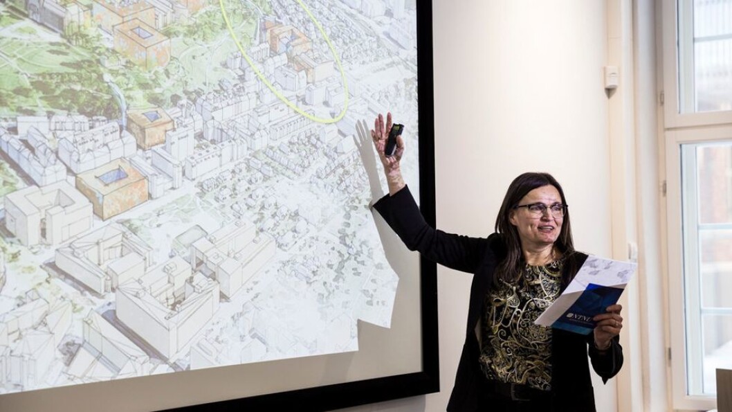 Prosjektdirektør for campusutvikling ved NTNU, Merete Kvidal, sier arbeidet med forprosjektet blir mer krevende dersom regjeringens forslag til bevilgning blir vedtatt. Prosjektdirektør for campusutvikling ved NTNU, Merete Kvidal, sier arbeidet med forprosjektet blir mer krevende dersom regjeringens forslag til bevilgning blir vedtatt.