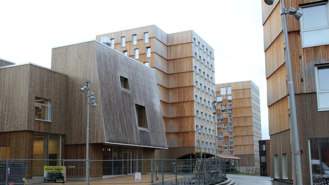 Regjeringen innstiller på lavere takt i bygging av nye studengboliger neste år. (Moholt studentby) Regjeringen innstiller på lavere takt i bygging av nye studengboliger neste år. (Moholt studentby)