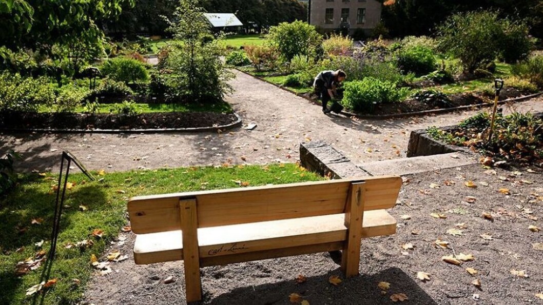 UiO har behandlet forespørselen fra bydelsutvalget, og avgjort at benken blir stående. UiO har behandlet forespørselen fra bydelsutvalget, og avgjort at benken blir stående.