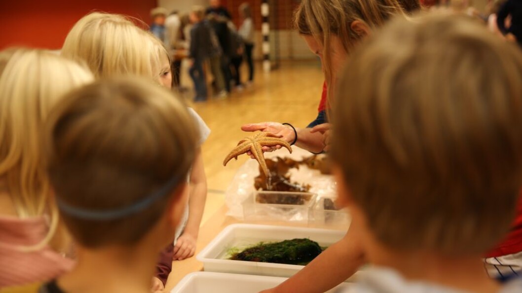 Onsdag fikk elevene i femte klasse ved Nypvang skole et innblikk i livet som finnes i Trondheimsfjorden. Onsdag fikk elevene i femte klasse ved Nypvang skole et innblikk i livet som finnes i Trondheimsfjorden.