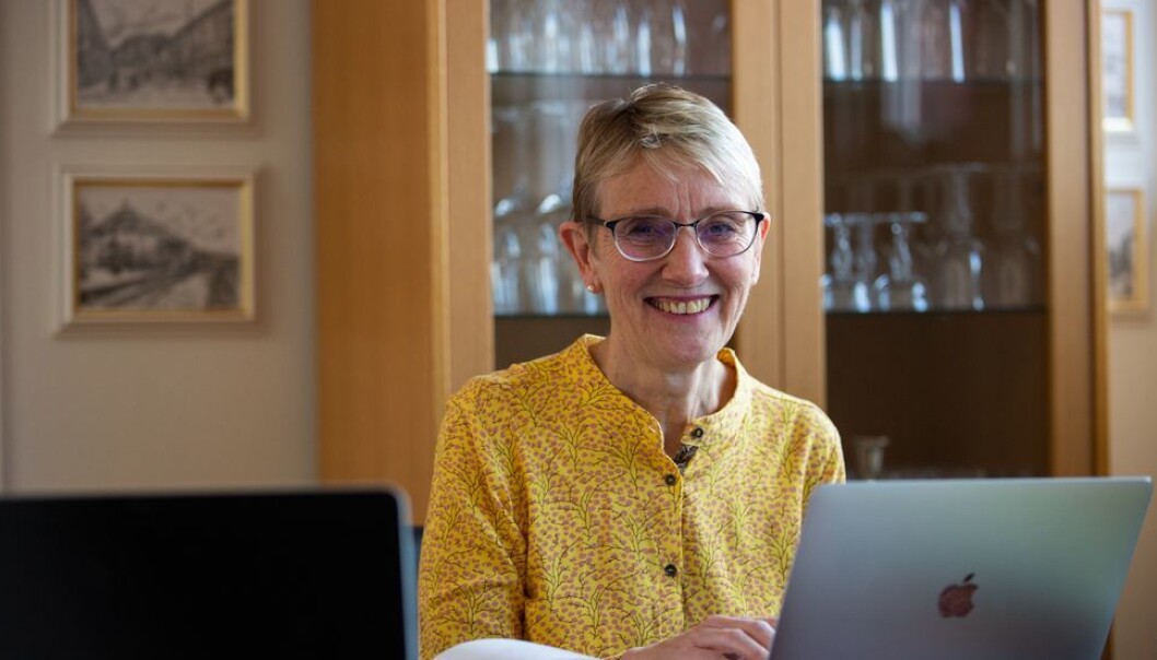 Anne Borg valgte å gi penger som inngår i årslønna på varig basis framfor et engansbeløp i form av bonus. Anne Borg valgte å gi penger som inngår i årslønna på varig basis framfor et engansbeløp i form av bonus.