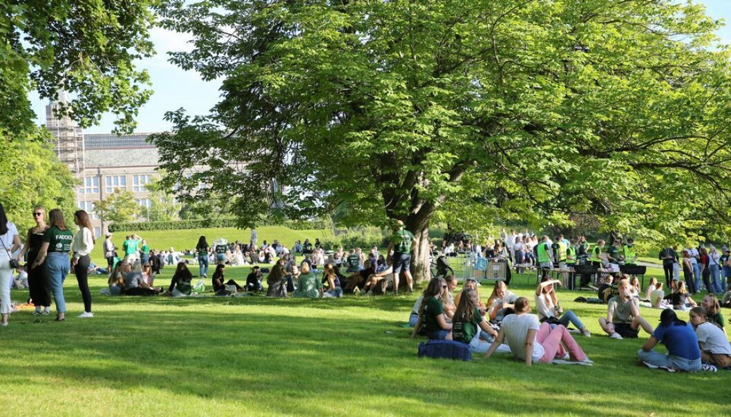 Fadderuka er godt i gang, så langt kan det synes å bli mindre oppstyr rundt det enn de foregående to årene. Fadderuka er godt i gang, så langt kan det synes å bli mindre oppstyr rundt det enn de foregående to årene.