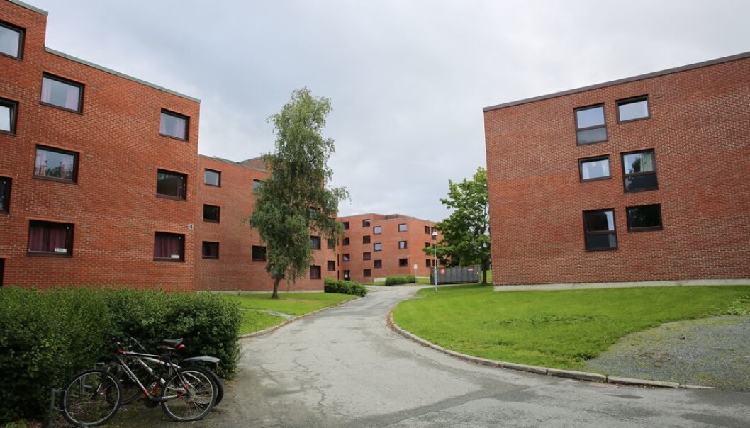 Den siste tiden har det blitt gjort en del arbeid på studentboligene på Moholt. Den siste tiden har det blitt gjort en del arbeid på studentboligene på Moholt.