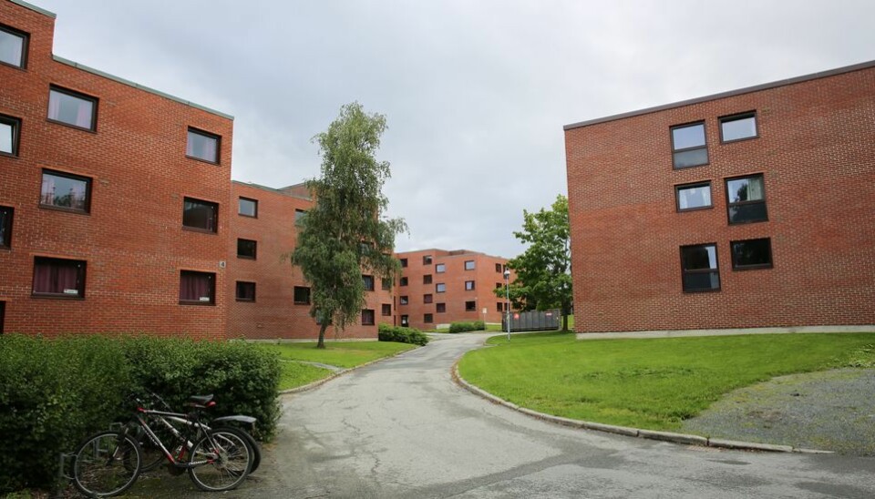 Sit, som operer i Trondheim Gjøvik og Ålesund har ikke studenter på venteliste på grunn av deres nye bookingsystem.