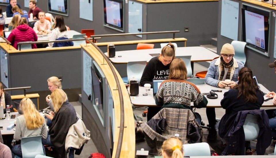 Seks av ti NTNUere får arbeidskontrakten før vitnemålet.