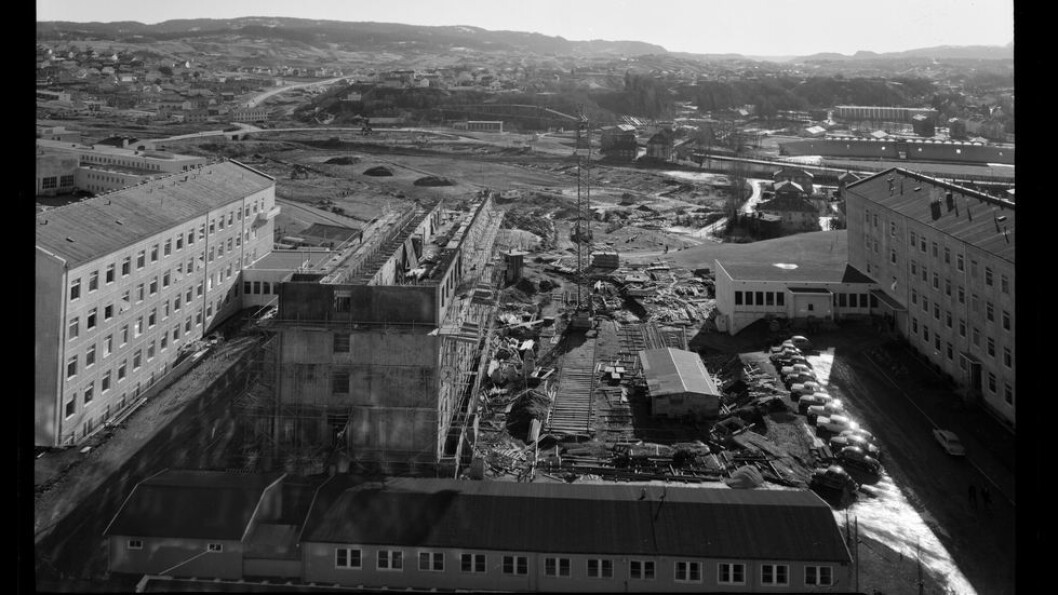 Omtrent 1400 bilder etter «hoff-fotograf» ved NTH i perioden 1960-1989, Nils Bjørnelv, er digitalisert. Dette bildet er tatt fra en av de øverste etasjene i Sentralblokk 1 våren 1964 og viser byggingen av Kjemiblokk 4 og utsikten mot sør slik den var før Realfagsbygget ble reist. Bildene fra Bjørnelvs samling blir publisert etter hvert som de blir registrert. Foreløpig er kun et fåtall tilgjengelig i gunnerus.no. Omtrent 1400 bilder etter «hoff-fotograf» ved NTH i perioden 1960-1989, Nils Bjørnelv, er digitalisert. Dette bildet er tatt fra en av de øverste etasjene i Sentralblokk 1 våren 1964 og viser byggingen av Kjemiblokk 4 og utsikten mot sør slik den var før Realfagsbygget ble reist. Bildene fra Bjørnelvs samling blir publisert etter hvert som de blir registrert. Foreløpig er kun et fåtall tilgjengelig i gunnerus.no.