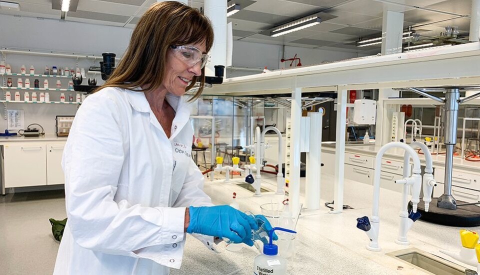 Elin H. Albertsen har lab-kurs i Realfagbygget for studenter i generell kjemi. Arkivbilde.