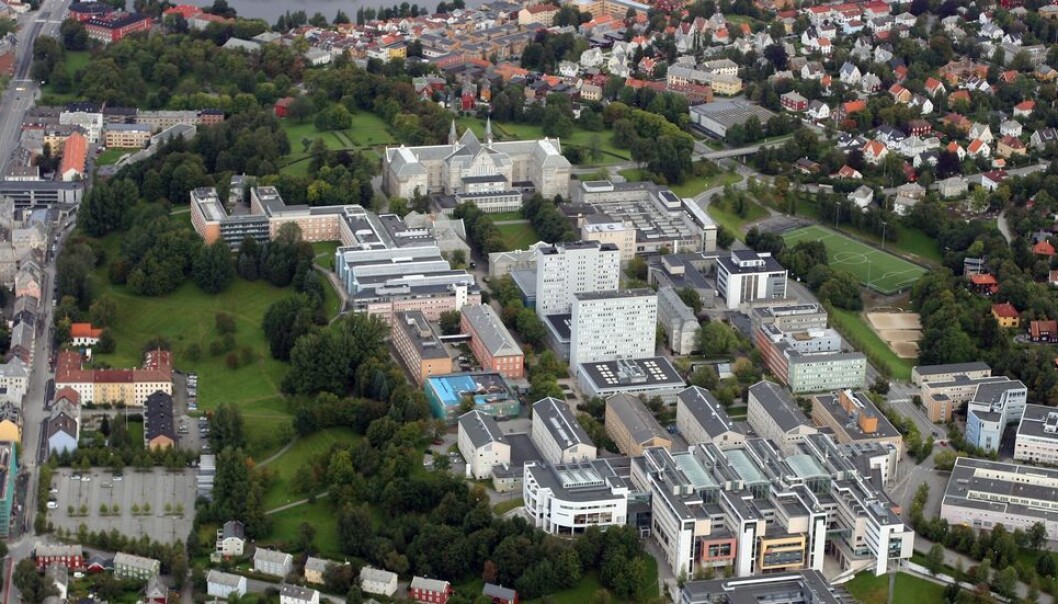 Gjennom en fire uker lang kampanje ønsker NTNU å få de ansatte til å fly mindre. Gjennom en fire uker lang kampanje ønsker NTNU å få de ansatte til å fly mindre.