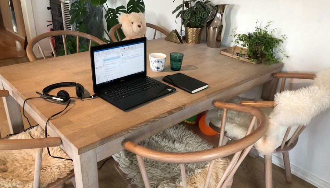 140 studenter har blitt utestengt fordi de jukset på hjemmeeksamen de to siste årene. 140 studenter har blitt utestengt fordi de jukset på hjemmeeksamen de to siste årene.