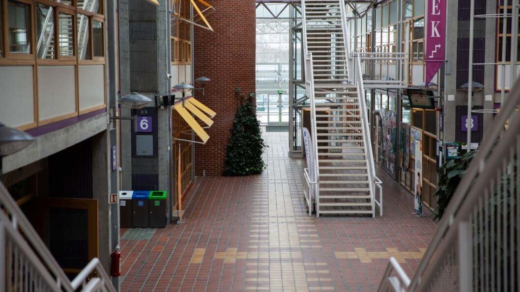 Pandemistengt Campus Dragvoll medio mars 2020: På et tidspunkt må NTNUs ledelse beslutte å la i det minste en del av studentene få vende tilbake, skriver UA på lederplass. Pandemistengt Campus Dragvoll medio mars 2020: På et tidspunkt må NTNUs ledelse beslutte å la i det minste en del av studentene få vende tilbake, skriver UA på lederplass.