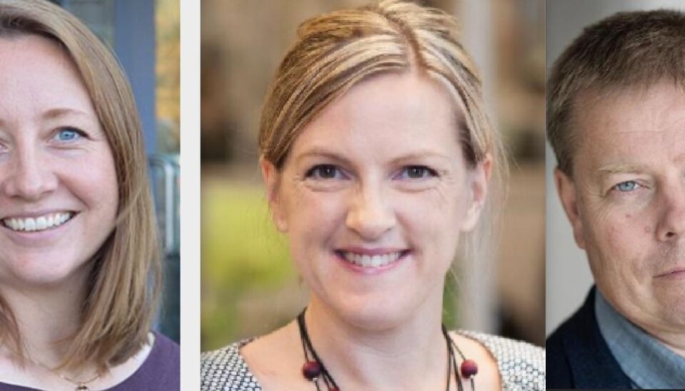 Charlotte Gaertner, seniorrådgiver, Mari Nygård, nestleder og Torberg Falch, instituttleder ILU.