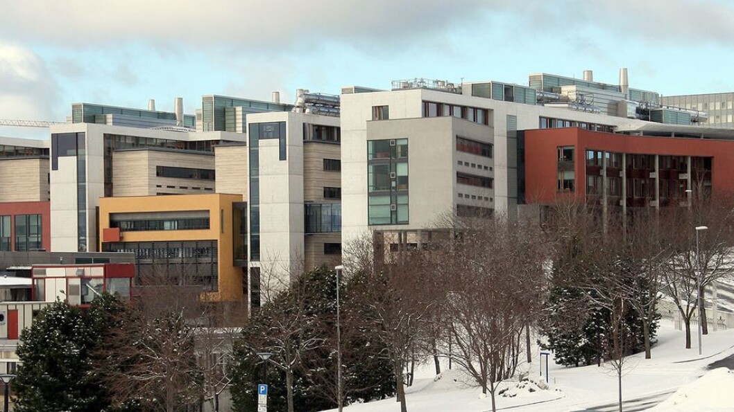 Skal vi bedrive fremragende forskning, utdanning og innovasjon så er det en dårlig ide å ta fra oss råderetten over egne bygg, skriver studentlederne. Her er ett av byggene som kan bli berørt, Realfagbygget ved NTNU. Skal vi bedrive fremragende forskning, utdanning og innovasjon så er det en dårlig ide å ta fra oss råderetten over egne bygg, skriver studentlederne. Her er ett av byggene som kan bli berørt, Realfagbygget ved NTNU.