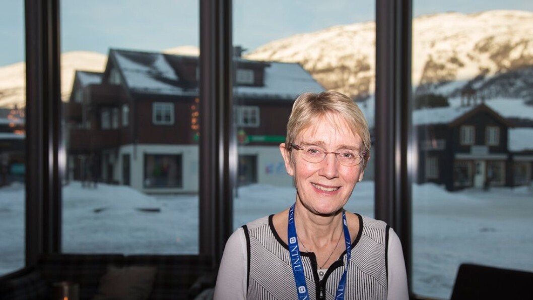 NTNU etablerer seg i Oslo. Om initiativet anses som vellykket, kan det bli aktuelt å etablere seg flere steder, sier prorektor for utdanning, Anne Borg. NTNU etablerer seg i Oslo. Om initiativet anses som vellykket, kan det bli aktuelt å etablere seg flere steder, sier prorektor for utdanning, Anne Borg.