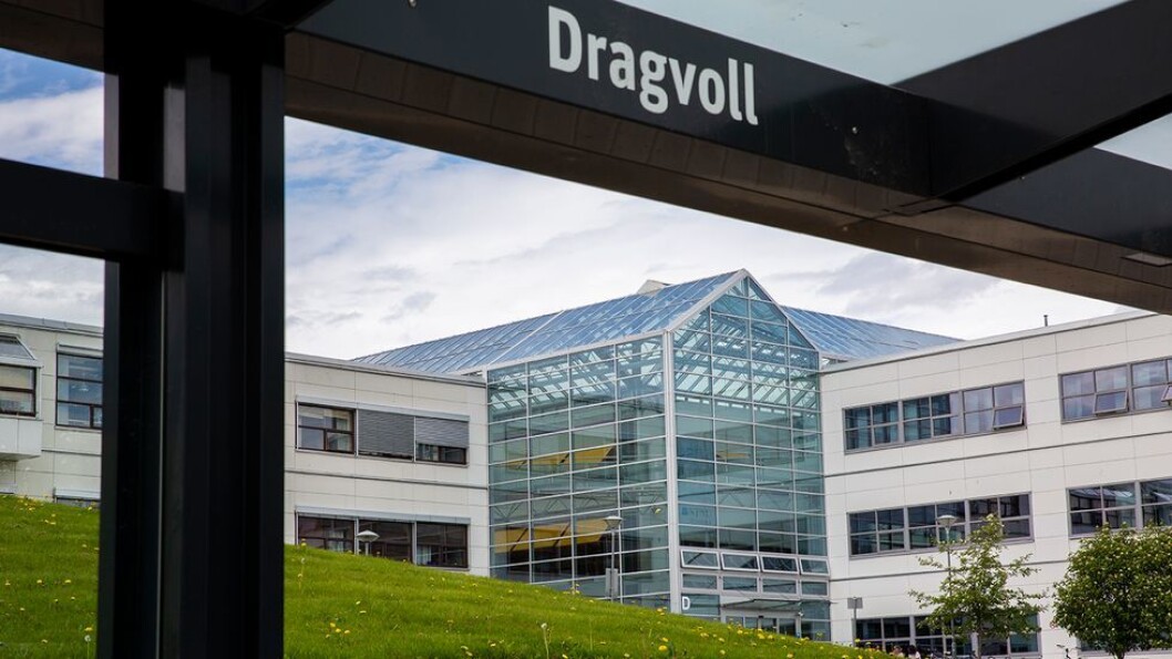 Går NTNU inn i en framtid med campus, er det å håpe at dette blindsporet ikke vil drenere altfor mye oppmerksomhet og penger bort fra det som NTNU bør holde på med, skriver Arne B. Johansen. Går NTNU inn i en framtid med campus, er det å håpe at dette blindsporet ikke vil drenere altfor mye oppmerksomhet og penger bort fra det som NTNU bør holde på med, skriver Arne B. Johansen.