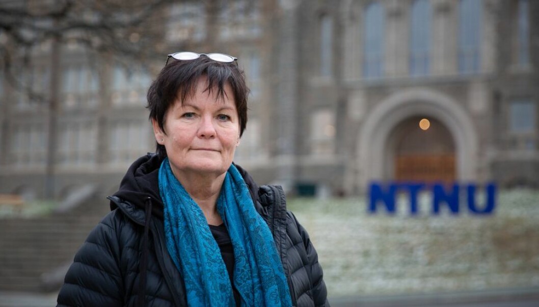 Kommunikasjonssjef Siv Anniken Røv kom fra tilsvarende stilling i Trondheim Kommune årsskiftet 2018/19.