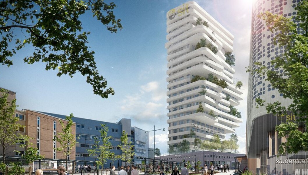 De nye metrobussene kommer til å kjøre forbi en høyblokk på 21 etasjer dersom samskipnaden får det som de vil. Totalt ønsker de å få plass til 4000 studenter på og rundt Gløshaugen. De nye metrobussene kommer til å kjøre forbi en høyblokk på 21 etasjer dersom samskipnaden får det som de vil. Totalt ønsker de å få plass til 4000 studenter på og rundt Gløshaugen.
