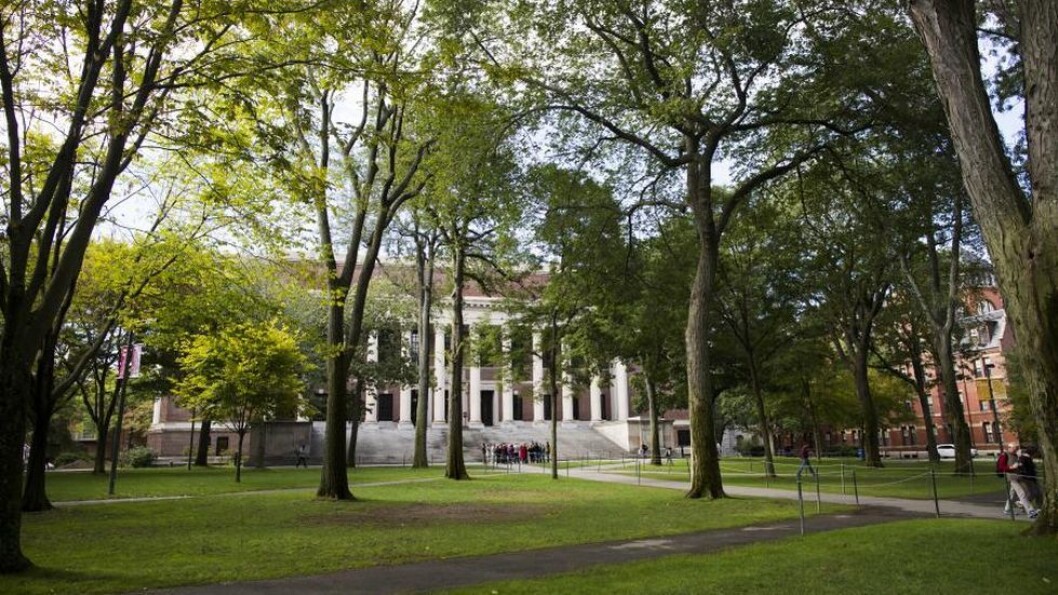 Harvards advokater jobber med studentens innreise i landet. Harvards advokater jobber med studentens innreise i landet.