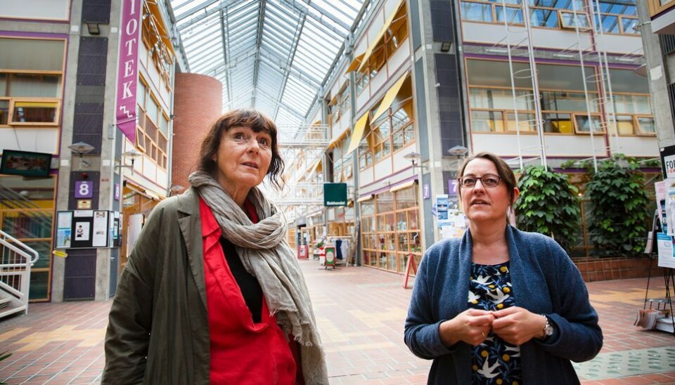 Margrethe C. Stang og Eileen Garmann Johnsen. Dragvoll. Arkitektur.