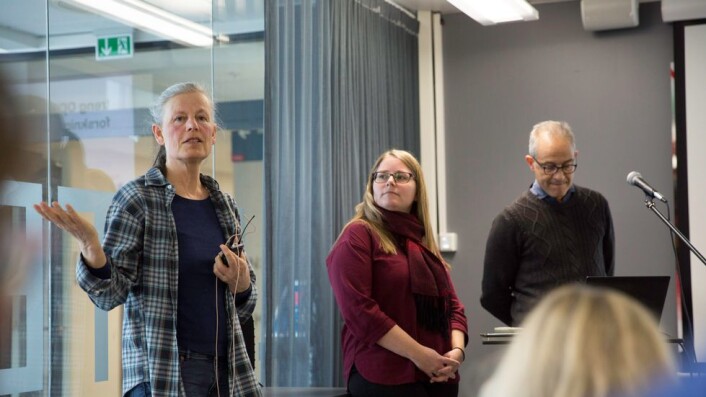 Astrid Lægreid, Ingrid Heggland, Pål Romundstad Astrid Lægreid, Ingrid Heggland, Pål Romundstad