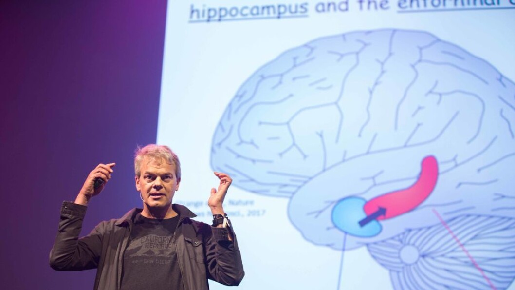 Edvard Moser leder prosjektet «POPULATION DYNAMICS OF ENTORHINAL GRID CELLS», som får støtte av Forskningsrådet. Edvard Moser leder prosjektet «POPULATION DYNAMICS OF ENTORHINAL GRID CELLS», som får støtte av Forskningsrådet.