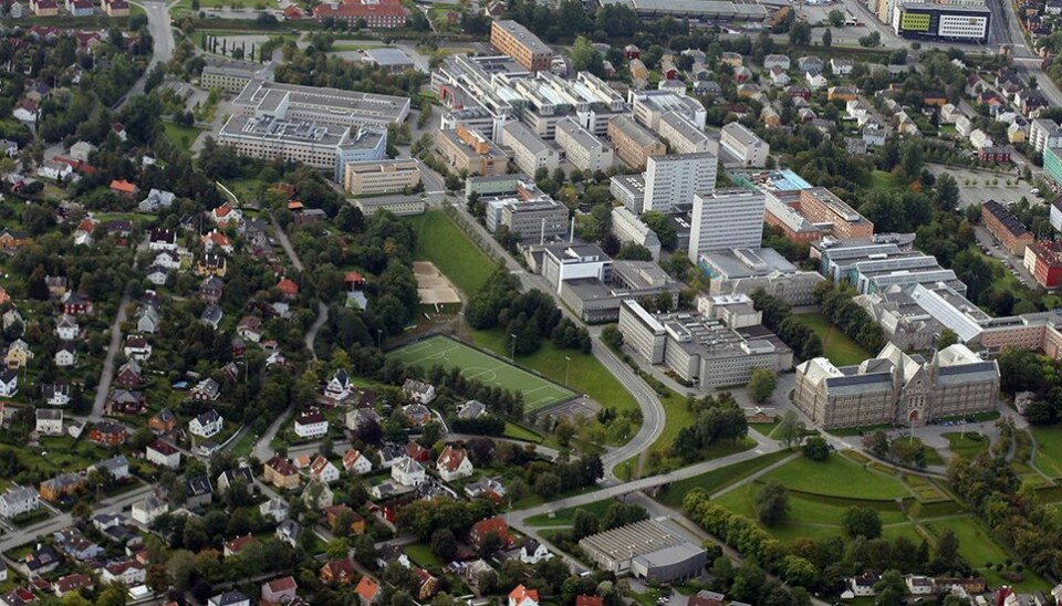 Store planer. Den nye campussjefen skal være med på å forme framtidas samlede campus i Gløshaugen-området.
