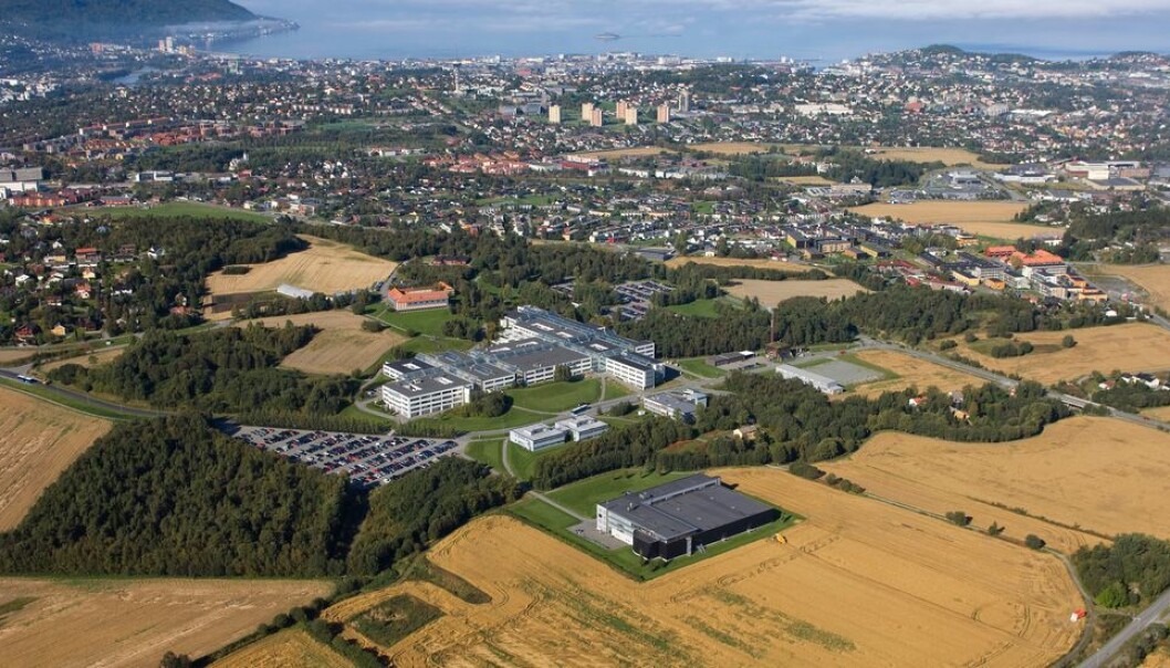 Blir Dragvoll solgt en gang i framtida, kan det bli et stort utbyggingsområde, men det er usikkert hva som blir omregulert til boligformål. Blir Dragvoll solgt en gang i framtida, kan det bli et stort utbyggingsområde, men det er usikkert hva som blir omregulert til boligformål.