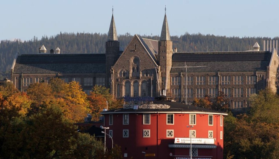 14 prosent av alle norske studenter begynte å studere ved NTNU i fjor.