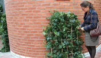 Kunst forsvinner, plastplanter popper opp. Margrethe C. Stang konstaterer at her er det både feil lukt og feil farge. Kunst forsvinner, plastplanter popper opp. Margrethe C. Stang konstaterer at her er det både feil lukt og feil farge.