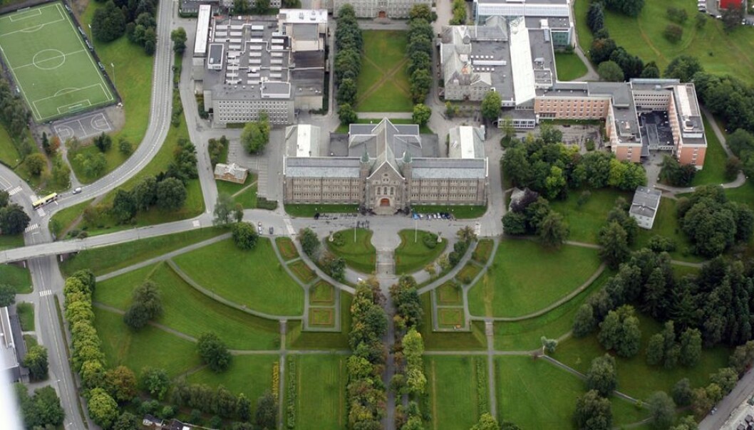 Det var i nedre del av Høgskoleparken at pillesalget foregikk. Det var i nedre del av Høgskoleparken at pillesalget foregikk.
