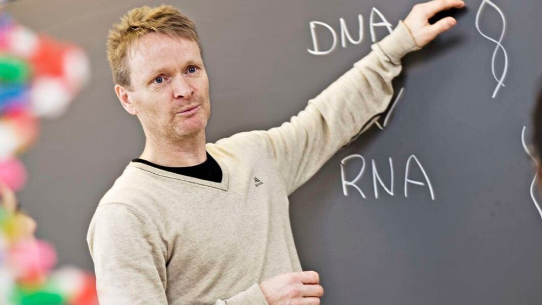 HiST-rektor Helge Klungland mener en sammenslåing mellom HiST og NTNU vil kunne bety en kvalitetshevning til beste for studentene. Arkivfoto: Geir Mogen/DMF, NTNU HiST-rektor Helge Klungland mener en sammenslåing mellom HiST og NTNU vil kunne bety en kvalitetshevning til beste for studentene. Arkivfoto: Geir Mogen/DMF, NTNU