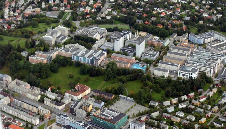 Regjeringen foreslår å bevilge 365 millioner til videre forprosjektering av NTNUs nye samlede campus på Gløshaugen.