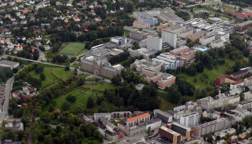 NTNU mener feil premisser legges til grunn. Dermed blir endringer som skulle vært budsjettnøytrale, heller en betydelig svekking av universitetets budsjett. NTNU mener feil premisser legges til grunn. Dermed blir endringer som skulle vært budsjettnøytrale, heller en betydelig svekking av universitetets budsjett.