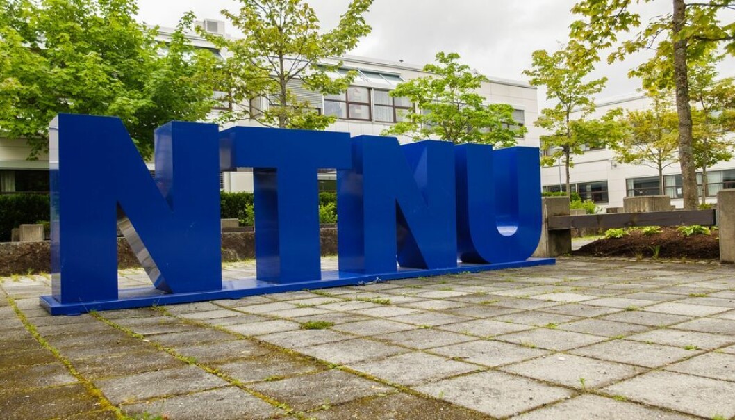 NTNU-ledelsen frykter at ansatte ved IHS, som holder til på campus Dragvoll, har vært utsatt for trakassering og at de utsettes for «uforsvarlig arbeidsmiljø.»