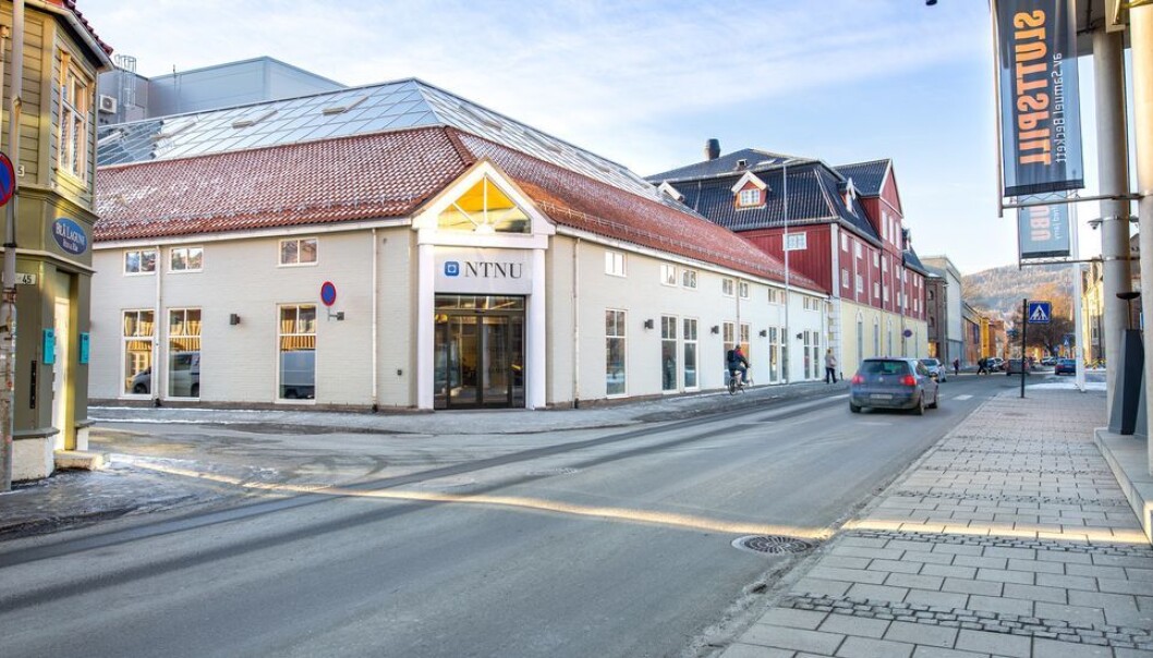 Et innlegg fra instituttleder ved Institutt for lærerutdanning har ført til reaksjoner. Et innlegg fra instituttleder ved Institutt for lærerutdanning har ført til reaksjoner.
