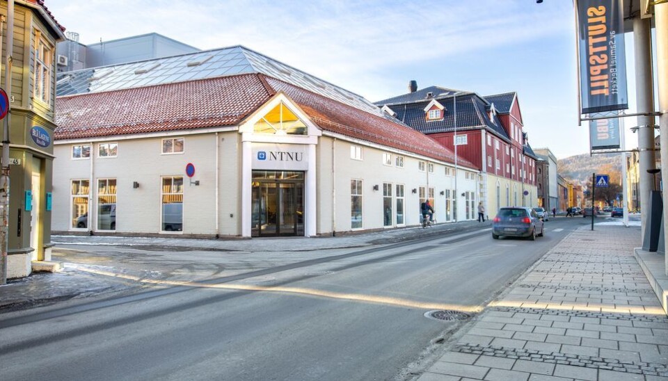 Et innlegg fra instituttleder ved Institutt for lærerutdanning har ført til reaksjoner.