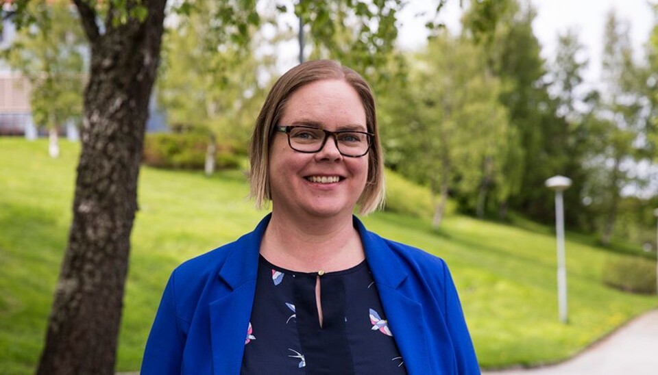 Ett av funnene i masteroppgaven til Nina Lødøen: Til tross for at midtnorske eksportbedrifter mener kunnskap i tysk er en suksessfaktor for virksomheten, etterspør de sjelden slik kunnskap når de lyser ut stillinger.