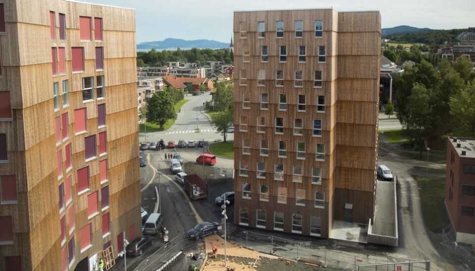 Staten og kommunene bør satse på studentboliger på sentrale tomter, skriver Samskipnadsrådet. Her ser vi studenttårnene på Moholt i Trondheim.