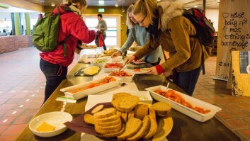 Gratis frokost i kantina og jobbråd i gata på Dragvoll tirsdag. Gratis frokost i kantina og jobbråd i gata på Dragvoll tirsdag.