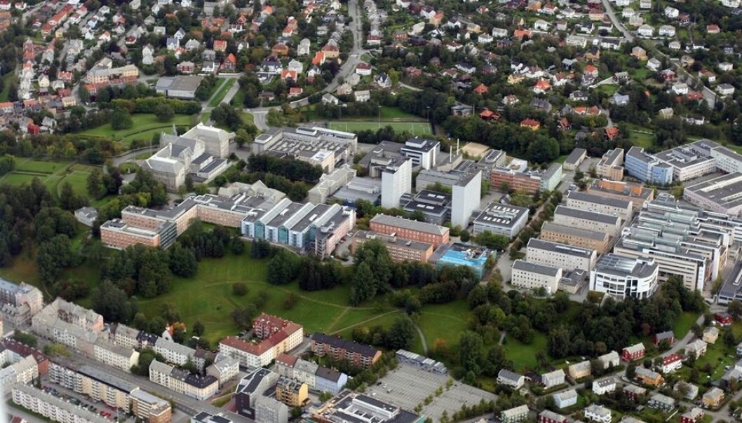 Parkeringsplassen nederst i midten er planlagt bygd igjen, med gangbro opp til Gløshaugen-platået. Parkeringsplassen nederst i midten er planlagt bygd igjen, med gangbro opp til Gløshaugen-platået.