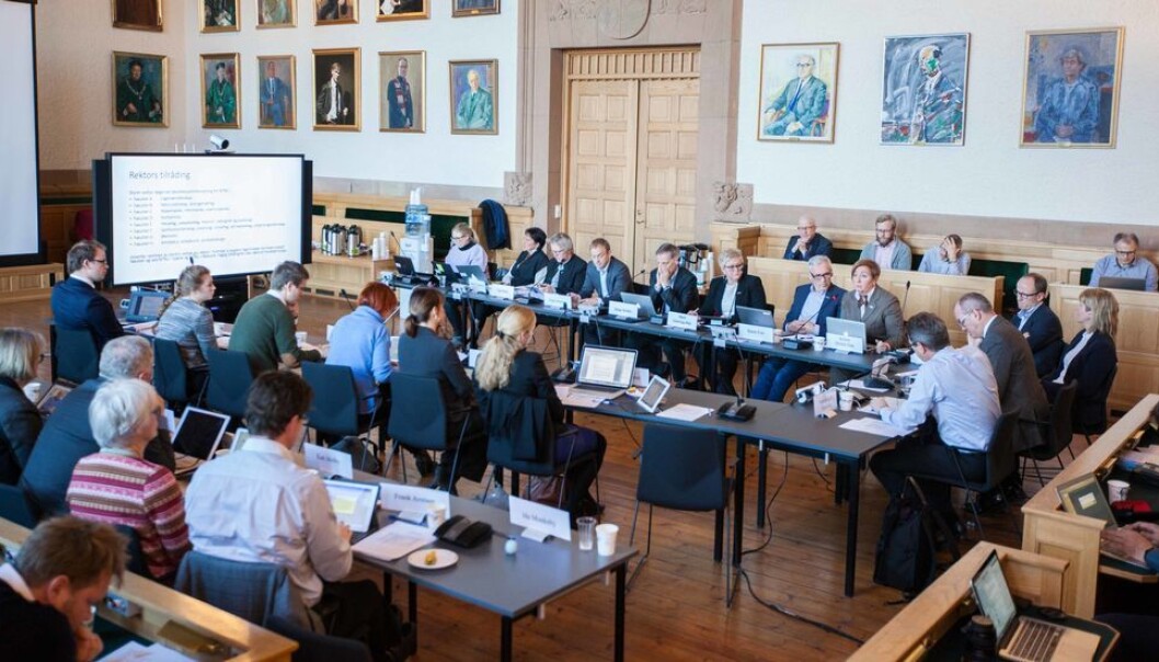 Det er vedtatt omvalg for kandidater til NTNU-styret fra de midlertidig ansatte. Bildet er fra et styremøte i 2016. Det er vedtatt omvalg for kandidater til NTNU-styret fra de midlertidig ansatte. Bildet er fra et styremøte i 2016.