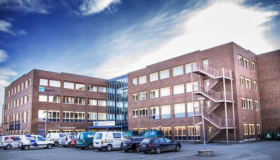 Opprett et eget fakultet for lærerutdanning og utdanningsvitenskap, oppfordrer tre nåværende og tidligere ledere for Program for lærerutdanning. I fjor flyttet PLU inn i de gamle lokalene til Handelshøyskolen i Trondheim.
