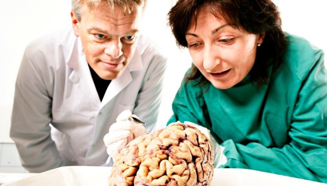 CAC – Centre for Algorithms in the Cortex, ledet av May-Britt Moser er en av sentrene som får til sammen 1,4 miliarder kroner. CAC – Centre for Algorithms in the Cortex, ledet av May-Britt Moser er en av sentrene som får til sammen 1,4 miliarder kroner.